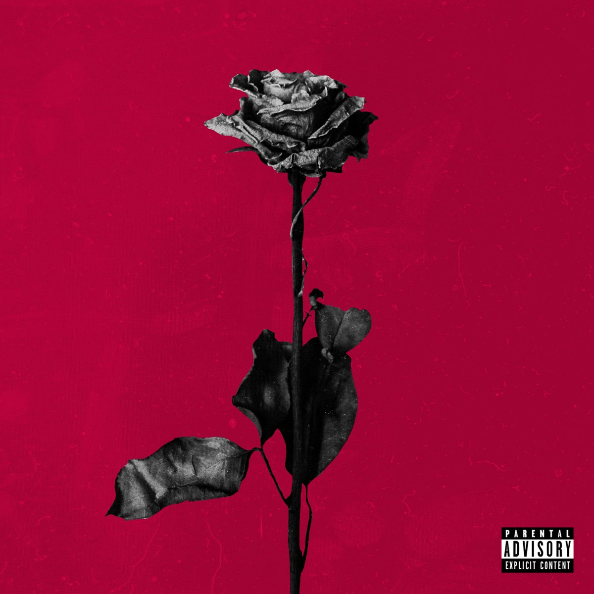 blackbear - deadroses LP