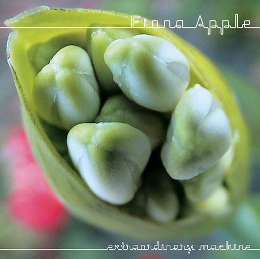 Fiona Apple - Extraordinary Machine 2xLP