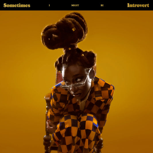 Little Simz - Sometimes I Can Be Introvert 2xLP