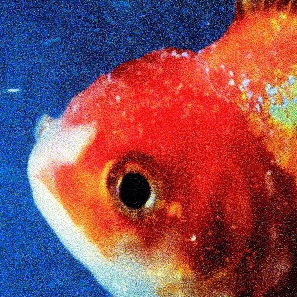 (D) Vince Staples - Big Fish Theory 2xLP