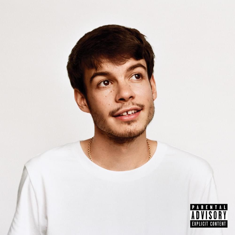 Rex Orange County - Pony LP